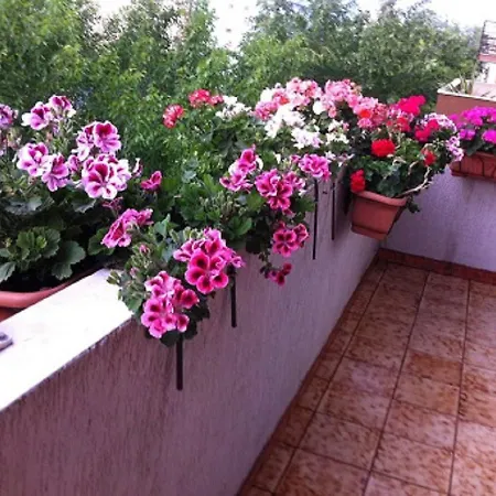 Casa Mia Альгеро