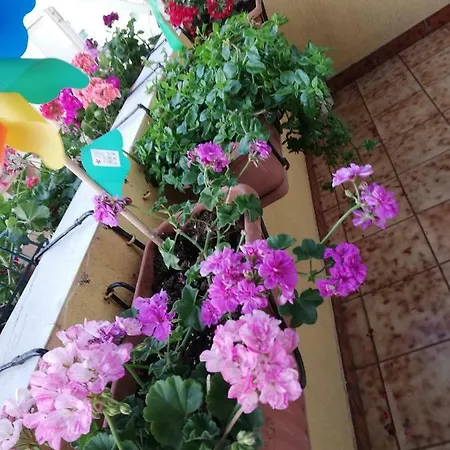 Casa Mia Отель типа 